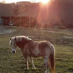 בית נופש Maison Vintage Ardenne