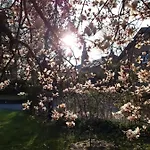 Maison Vintage Ardenne *