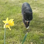 Maison Vintage Ardenne *