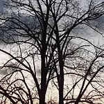 Maison Vintage Ardenne בית נופש