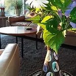 Maison Vintage Ardenne בית נופש *