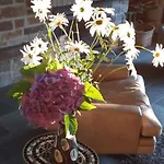 Maison Vintage Ardenne בית נופש אבנה