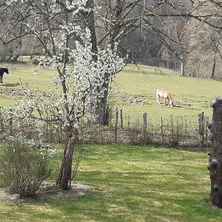 Maison Vintage Ardenne Feriehus