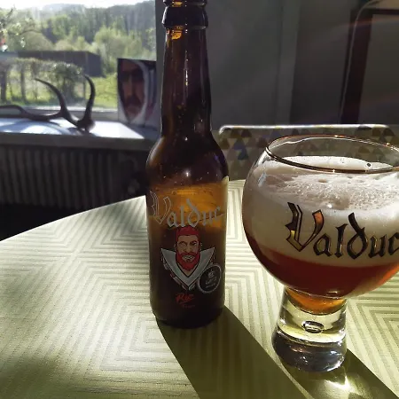 Maison Vintage Ardenne Hébergement de vacances *