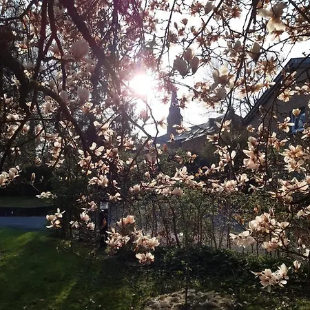 Maison Vintage Ardenne *