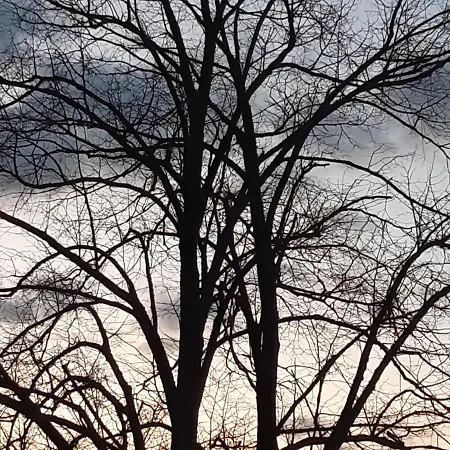 Maison Vintage Ardenne Feriehus