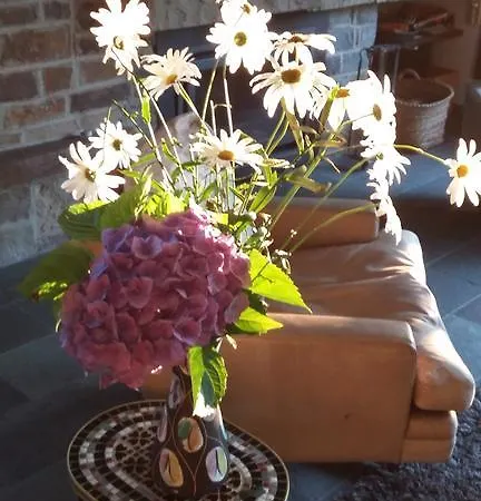 Maison Vintage Ardenne Feriehus Awenne