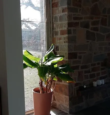 Maison Vintage Ardenne