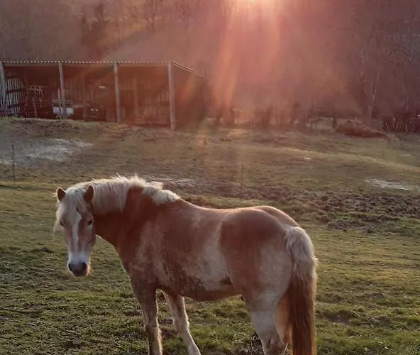 Holiday home Maison Vintage Ardennes