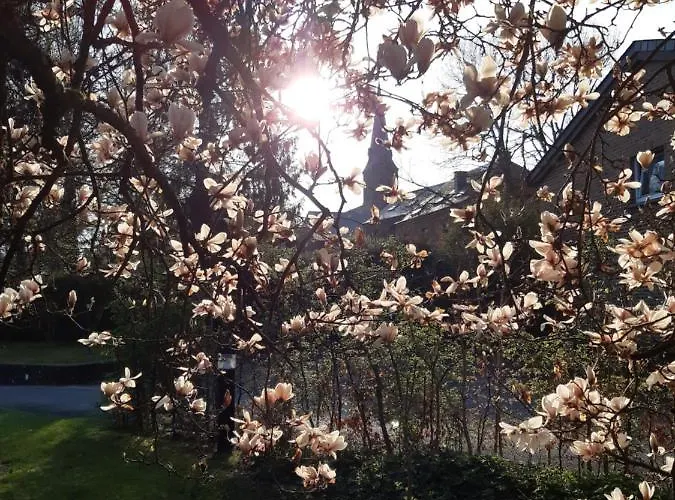 Maison Vintage Ardennes *