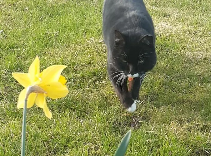 Maison Vintage Ardennes *