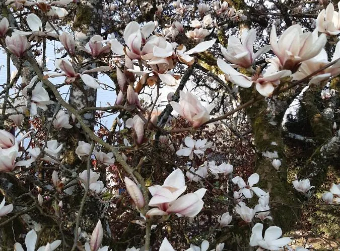 Maison Vintage Ardennes Holiday home *