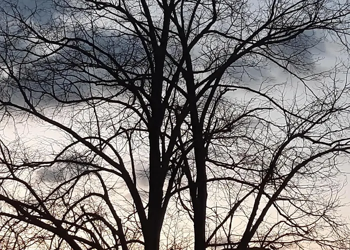 Maison Vintage Ardennes Holiday home