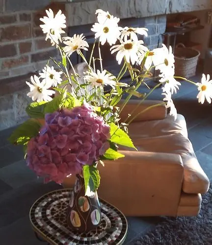 Maison Vintage Ardennes Holiday home Awenne