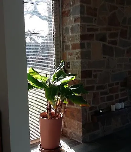 Maison Vintage Ardennes